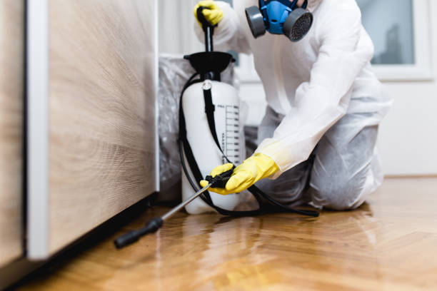 Best Mosquito Control Services  in Lake Forest Park, WA