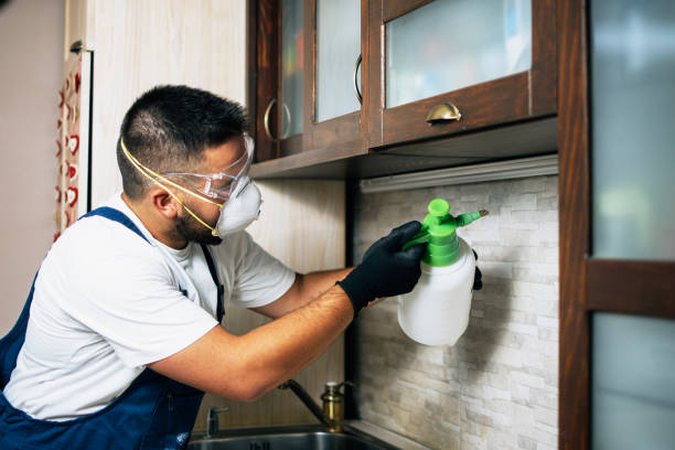 Best Affordable Pest Control Services  in Lake Forest Park, WA