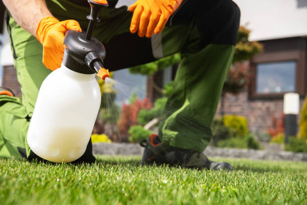 Wildlife Control Services in Lake Forest Park, WA