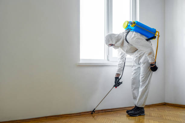 Pest Control Cost in Lake Forest Park, WA