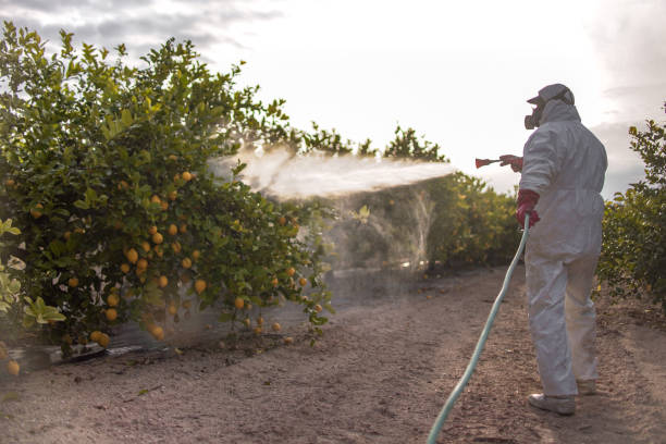 Lake Forest Park, WA Pest Control Company