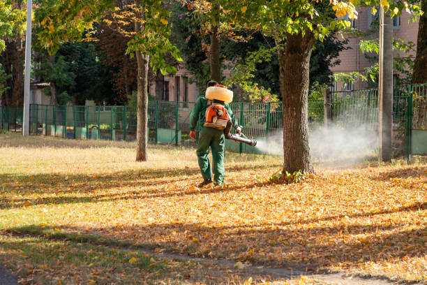 Best Pest Inspection Near Me  in Lake Forest Park, WA