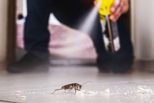 Best Best Pest Control Companies  in Lake Forest Park, WA