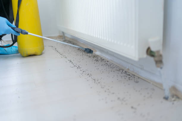 Best Mosquito Control Services  in Lake Forest Park, WA